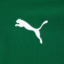 Palmeiras Casa 2026 - Conjunto Infantil