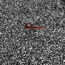 Camisa Corinthians Pré-Jogo 24/25 - Versão Torcedor - MAJESTO BR